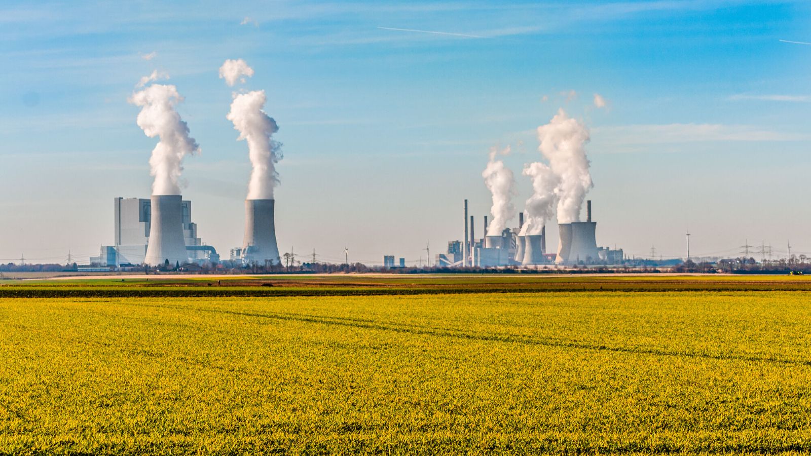 Fachleute des Forschungsnetzwerks Energiesystemanalyse argumentieren in einem Impulspapier, warum Negativemissionstechnologien einen relevanten Bestandteil auf dem Weg zur Klimaneutralität darstellen. (Symbolbild)