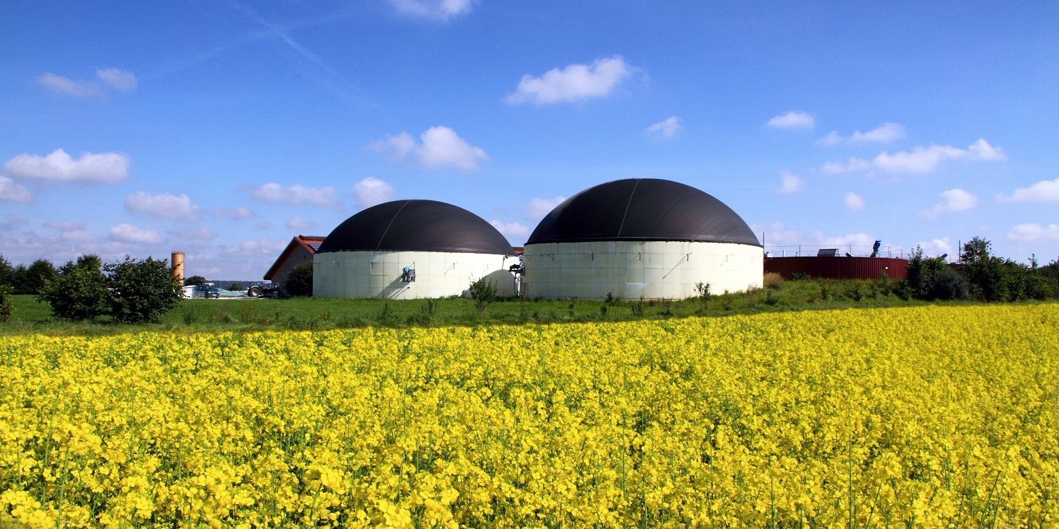 Biogasanlage und Rapsfeld