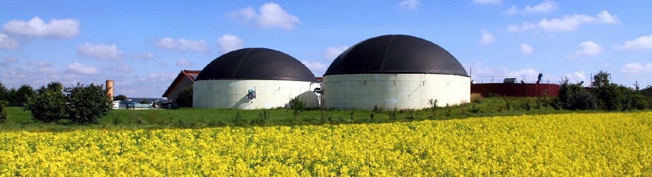 Symbolbild Bioenergie Symbolbild Bioenergie