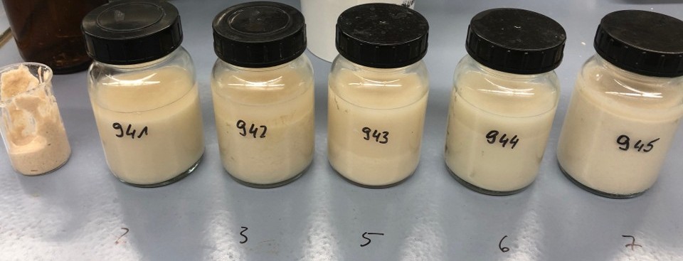 Pülpeproben aus dem Projekt Pülpegas. Pülpeproben aus dem Projekt Pülpegas.