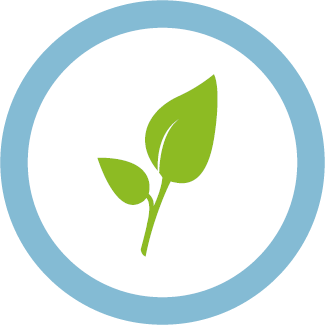 Logo - Bioenergy Research Network